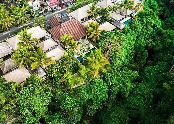 Luwak & Jungle ウブド