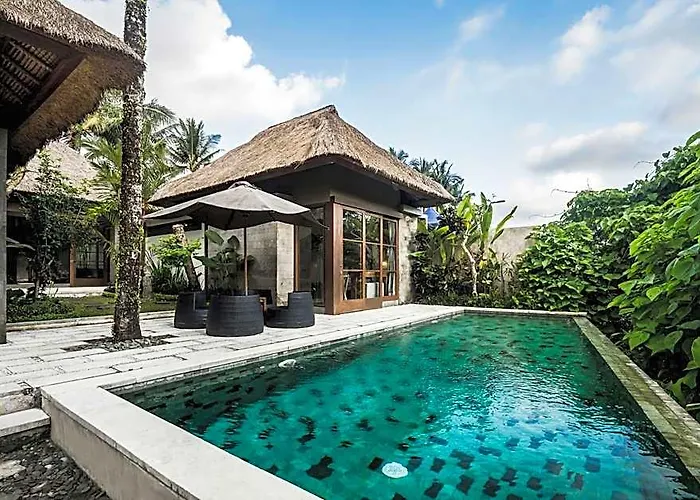 Luwak & Jungle 4*