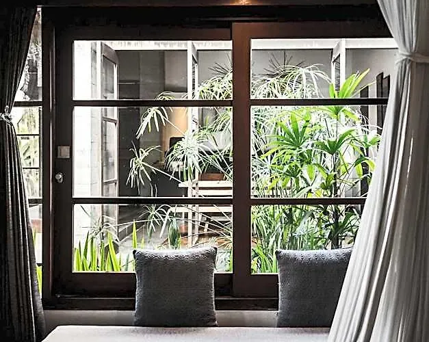 Luwak & Jungle