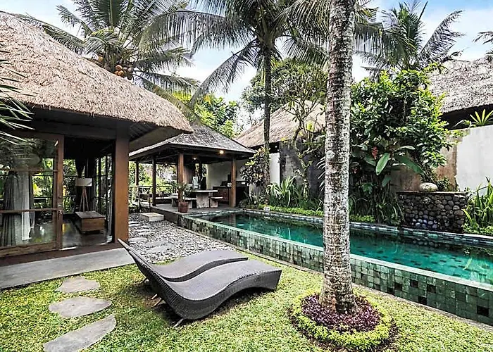Luwak & Jungle